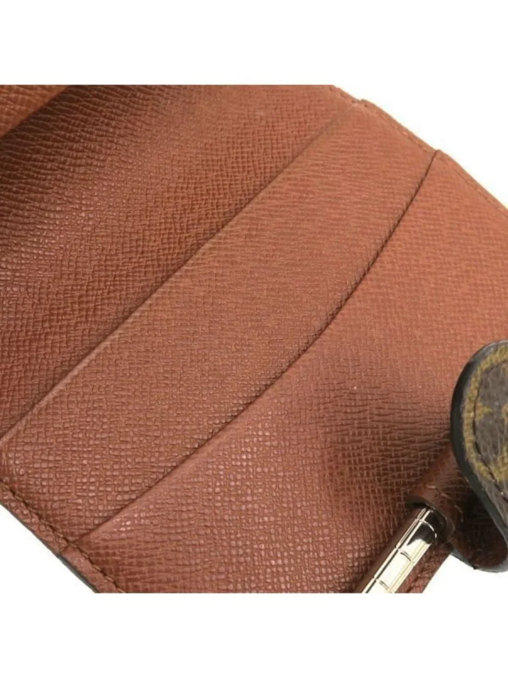 Louis Vuitton brand louis